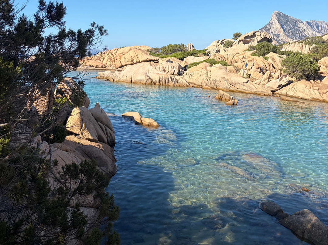 Spiaggia Delle Vacche-Baia Sardinia必去景点