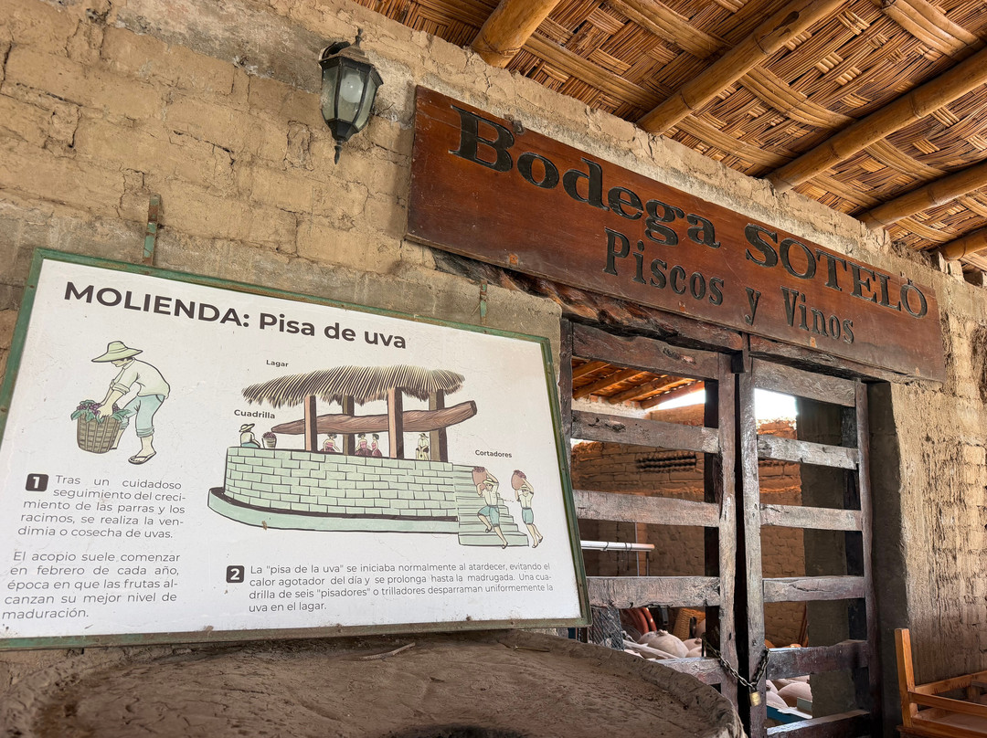 Bodega Y Viñedo Sotelo-伊卡必去景点