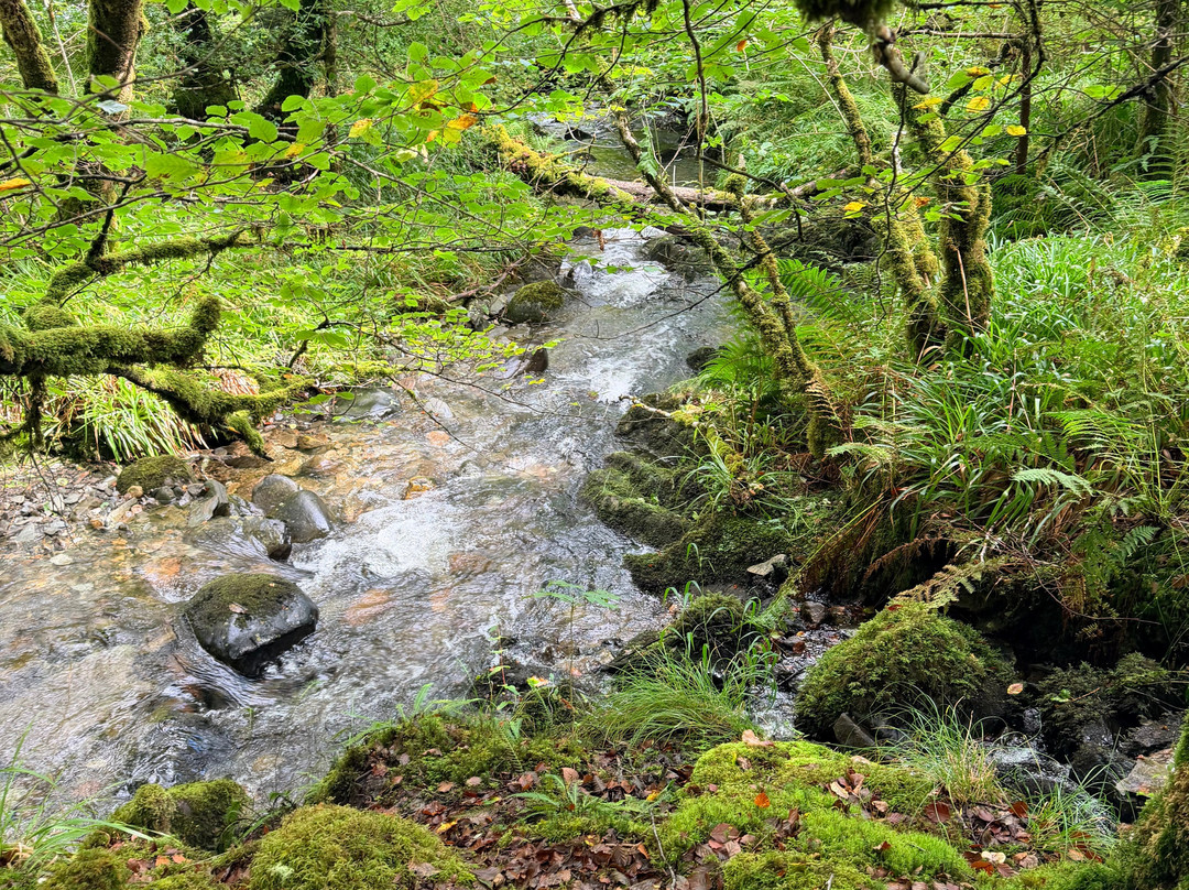 Fairy Bridge At Glen Creran-Appin必去景点