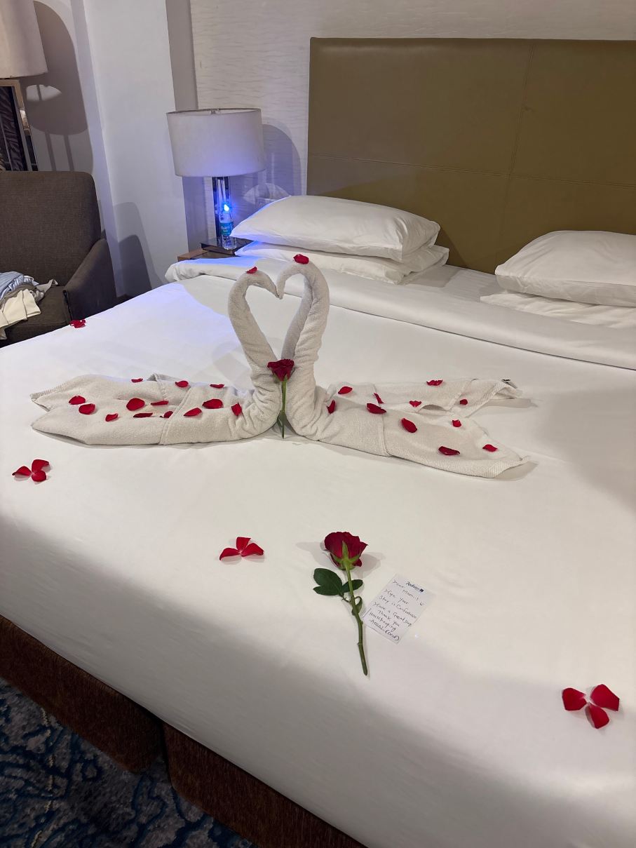 浦那卡拉迪丽笙酒店-旅行者