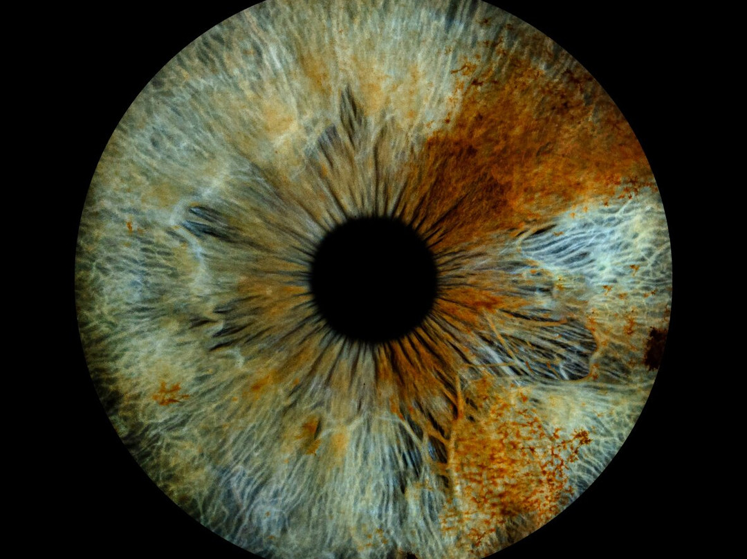 Iris Galerie Amsterdam Spiegelgracht