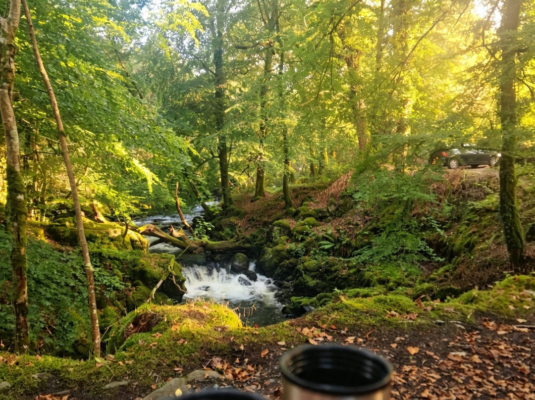 Torrent Walk-Dolgellau必去景点