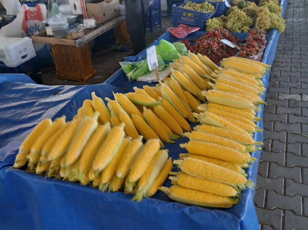 Karaağaç Pazarı-Ayvalik必去景点