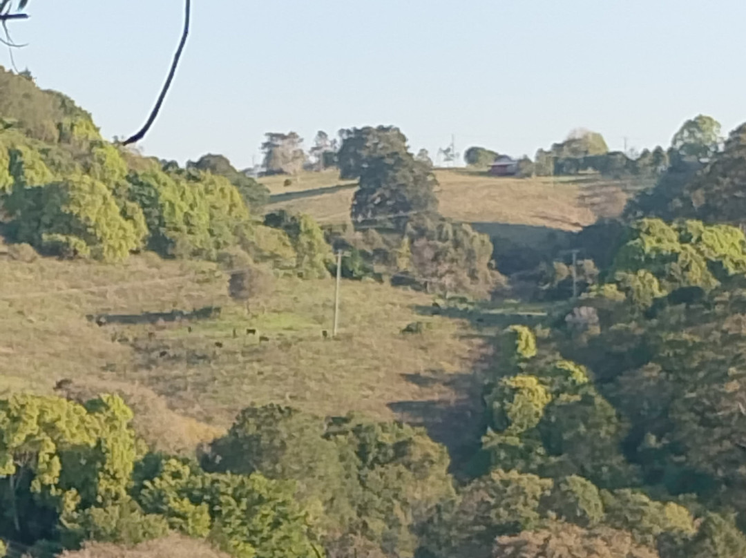 蒙特维尔瀑布山林小屋主图