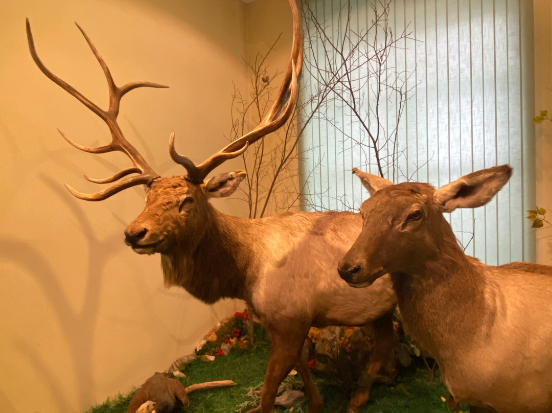National Museum of the Republic of Altai-Gorno-Altaysk必去景点