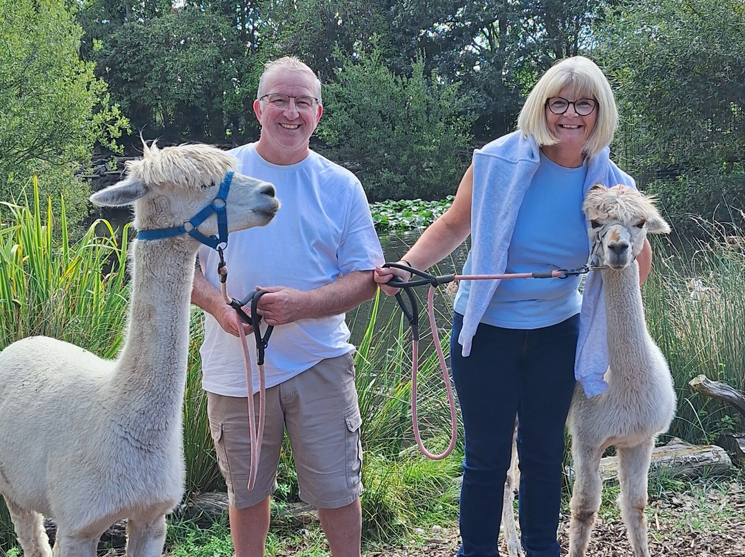 Nanny Sharon's Alpaca Farm C.I.C-Prenton必去景点