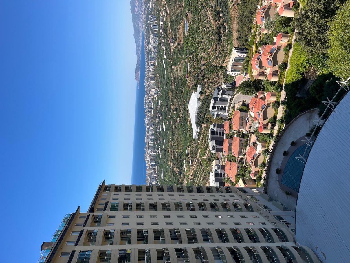 金城酒店-旅行者