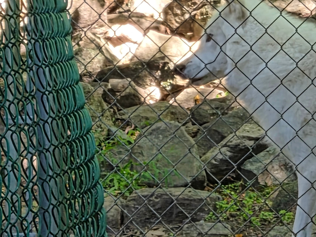 Lakota Wolf Preserve-Columbia必去景点