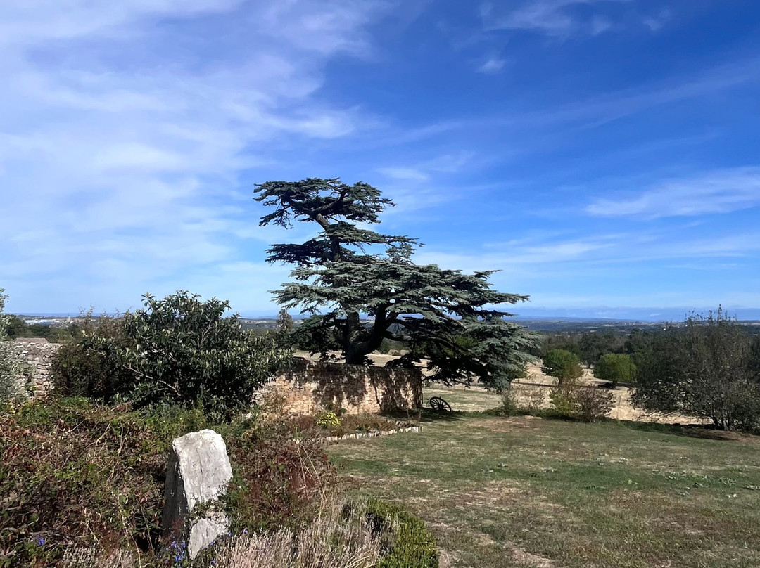 Les Jardins de Brogieux-Roiffieux必去景点