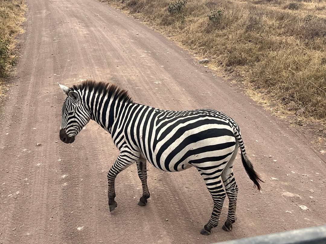 Tanzania-Experience-阿鲁沙必去景点