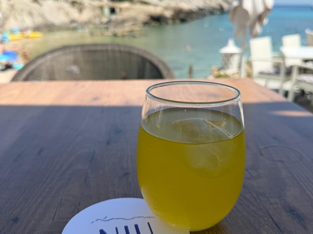 霍波萨尼乌酒店主图