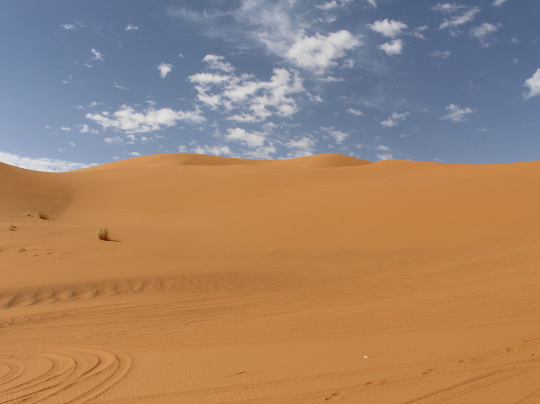 Morocco Hire Car & Private Driver-Marrakech-Safi必去景点
