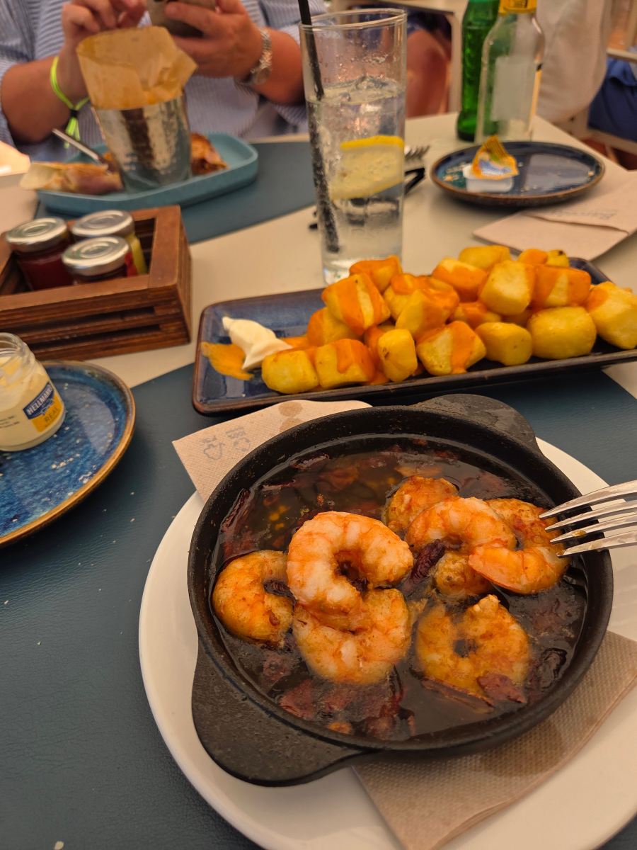 巴塞罗侯湾成人酒店-旅行者