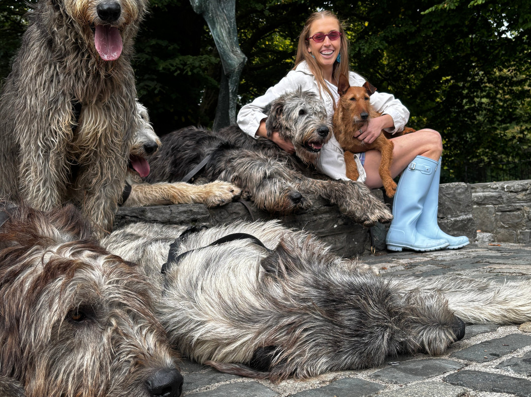 Wolfhound Adventure Tours-Baldoyle必去景点