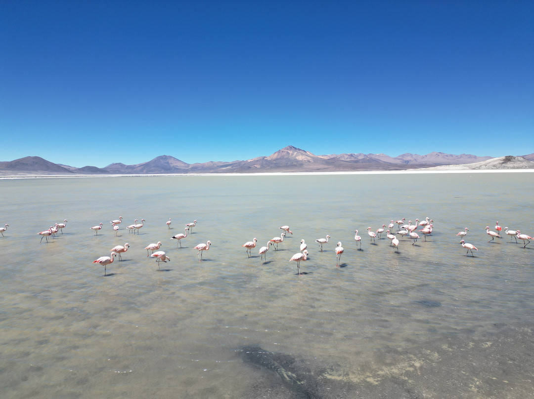 Mayuru Tour-Putre必去景点