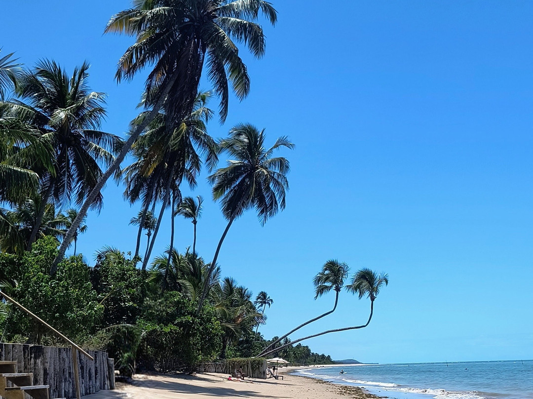 Patacho Beach-Porto de Pedras必去景点