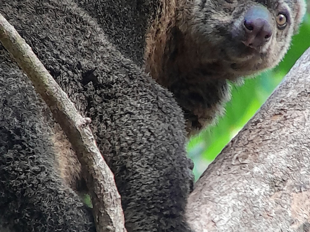 Rudy Tour and Travel - Manado Driver Guide-Minahasa必去景点