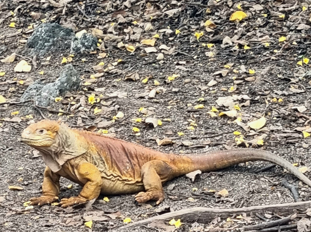 Enjoying Ecuador Travel-基多必去景点