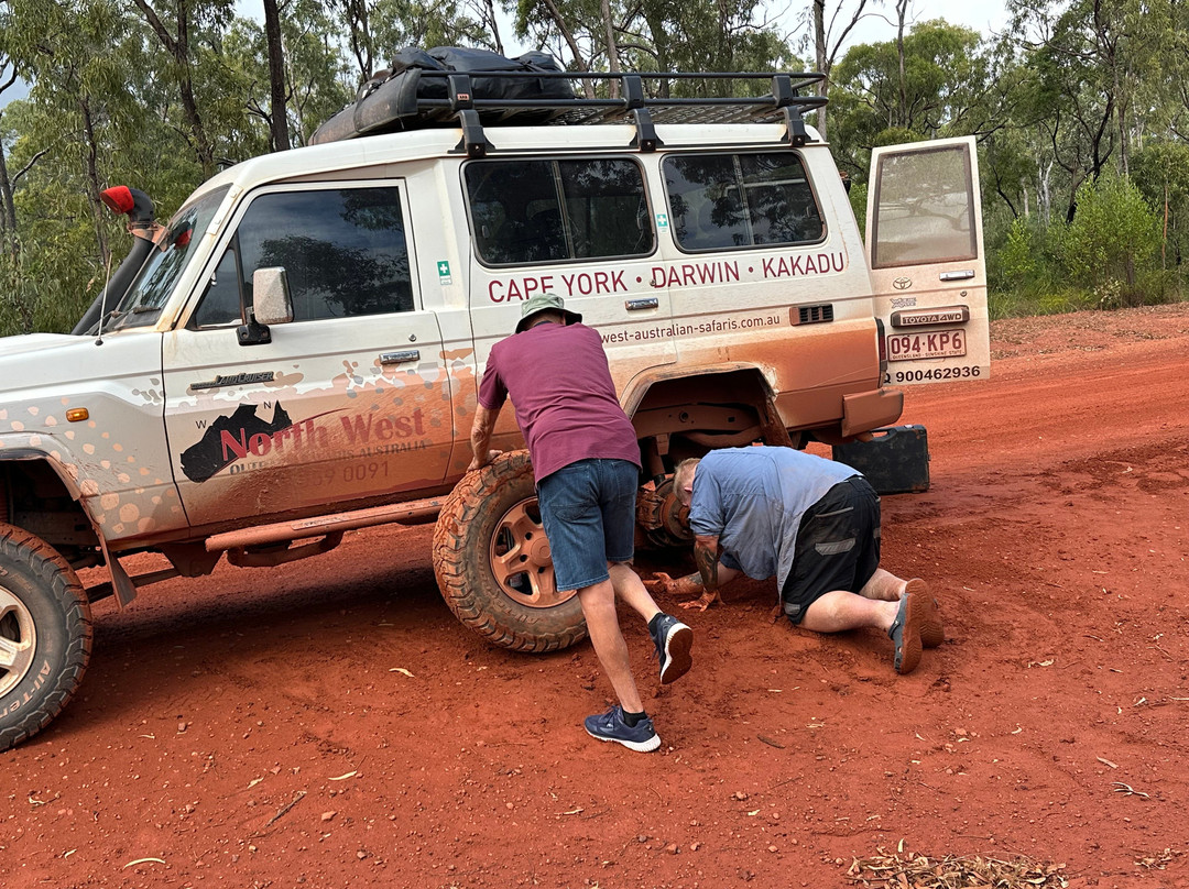 North West Outback Safaris-凯恩斯必去景点