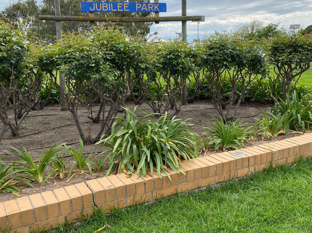 Meningie Lions Jubilee Park-Meningie必去景点