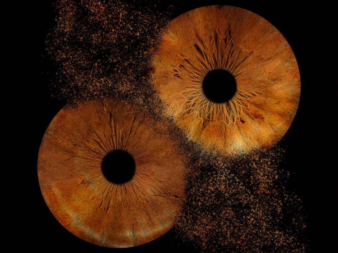 Iris Galerie Arnhem