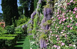 I Giardini di Villa della Pergola-阿拉西奥必去景点