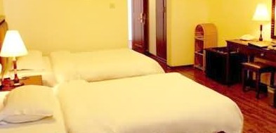 齐海大酒店-客卧