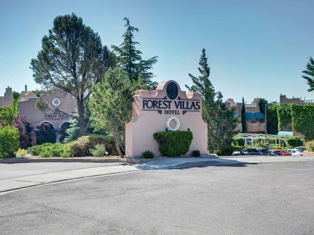 The Forest Villas Hotel主图