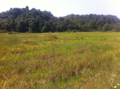 官山自然保护区