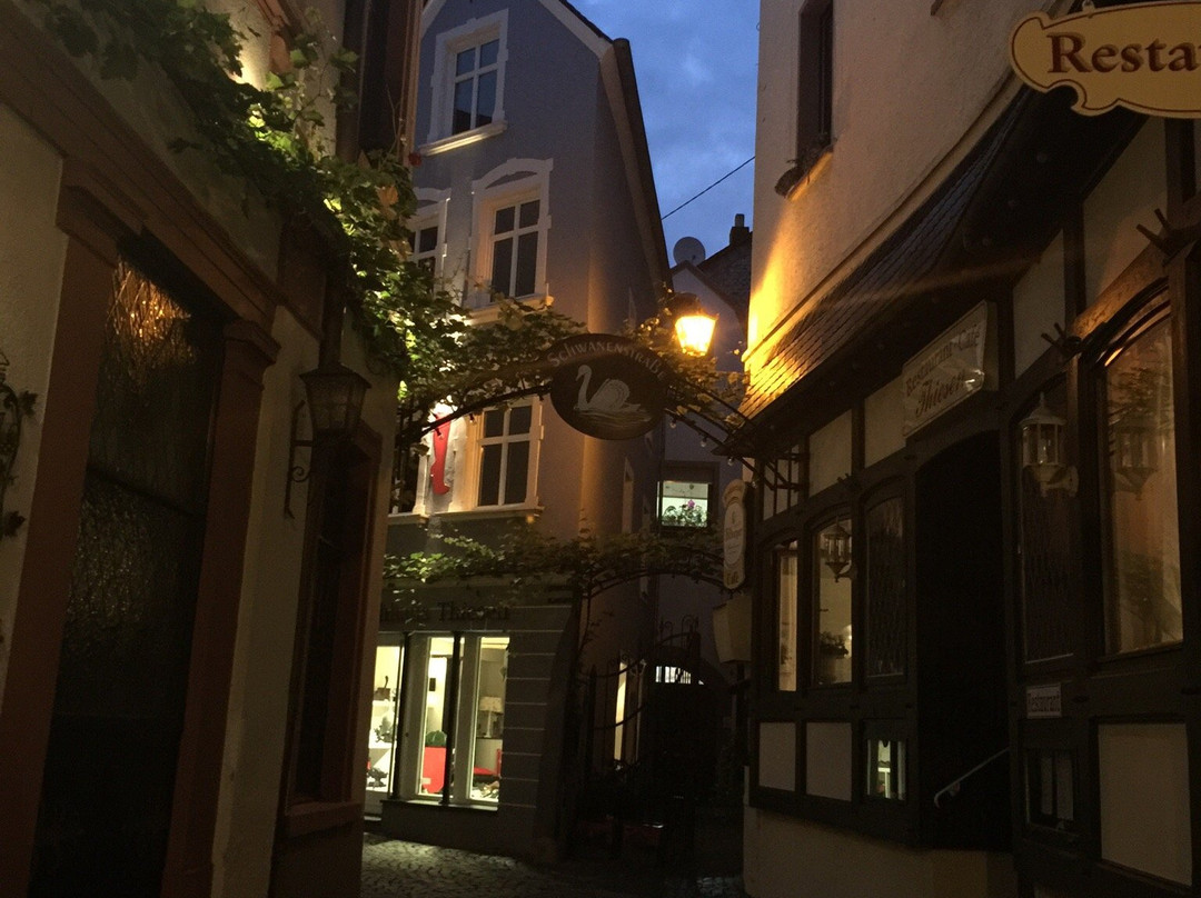 Hotel-Restaurant Moselbluemchen