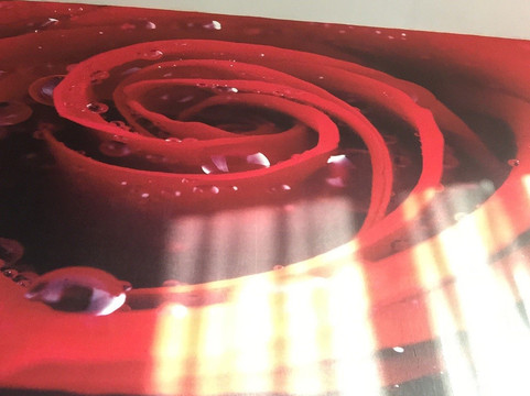 仪征黎明大酒店主图