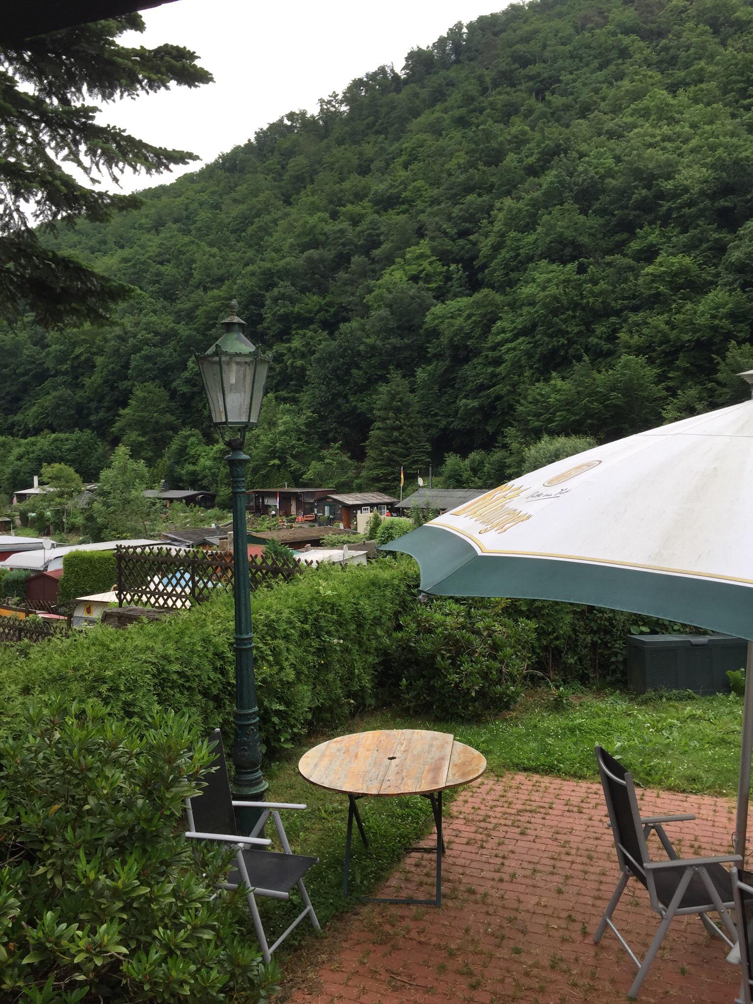 Hotel-Restaurant Tannenhof-餐饮