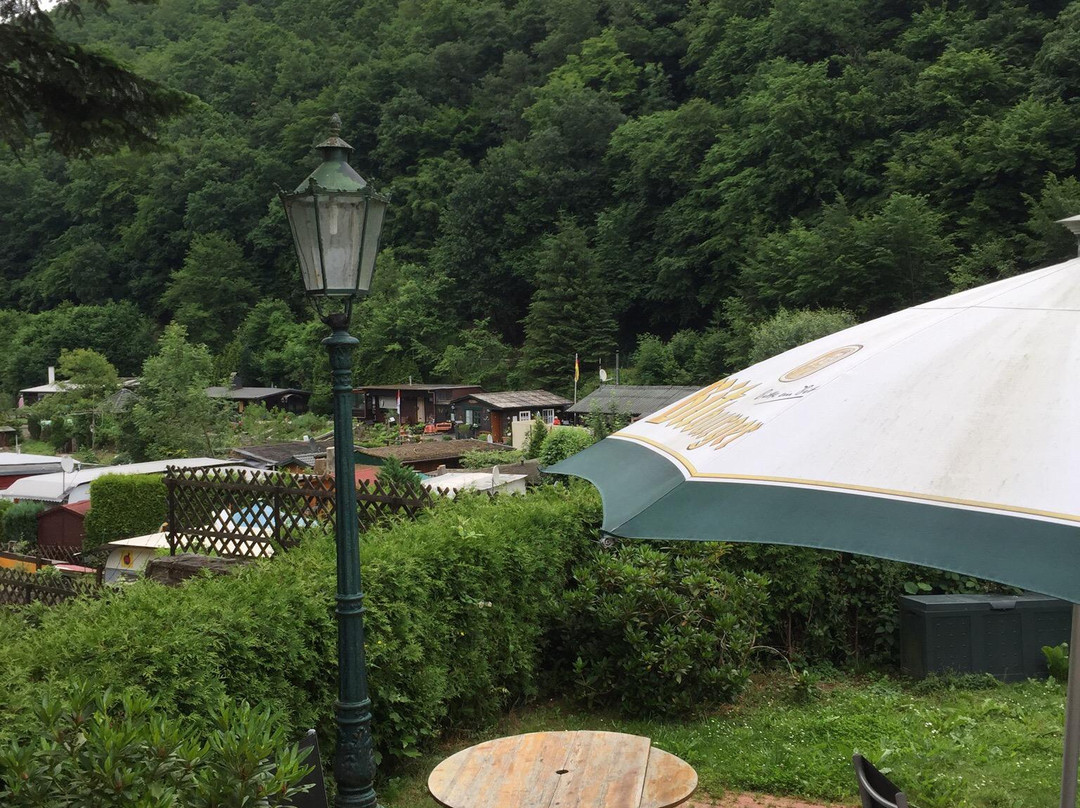 Hotel-Restaurant Tannenhof主图