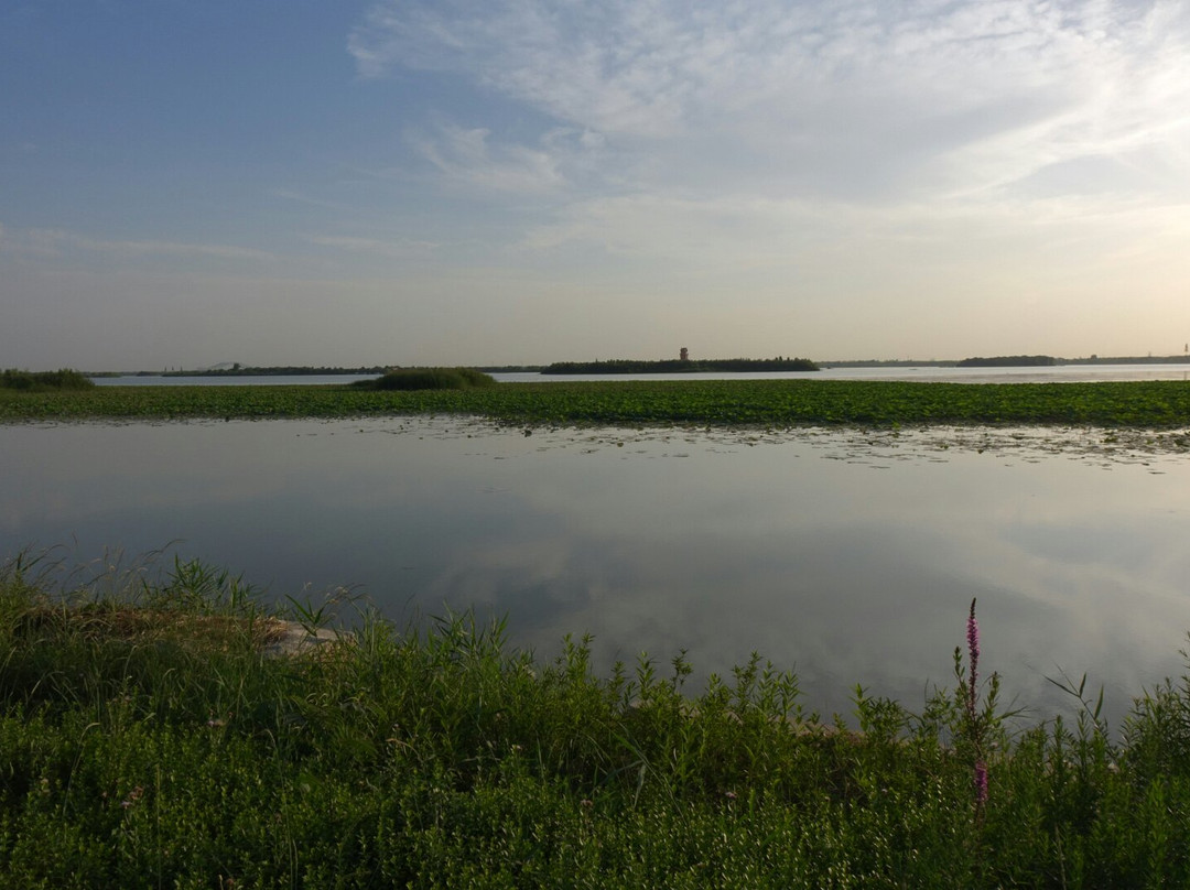 北湖旅游区-济宁市必去景点