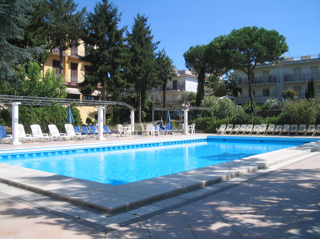 Sant'Agata sui Due Golfi酒店住宿-Hotel Delle Palme