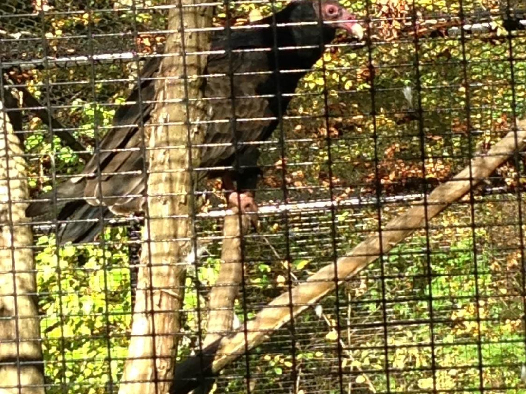 Blue Hills Trailside Museum