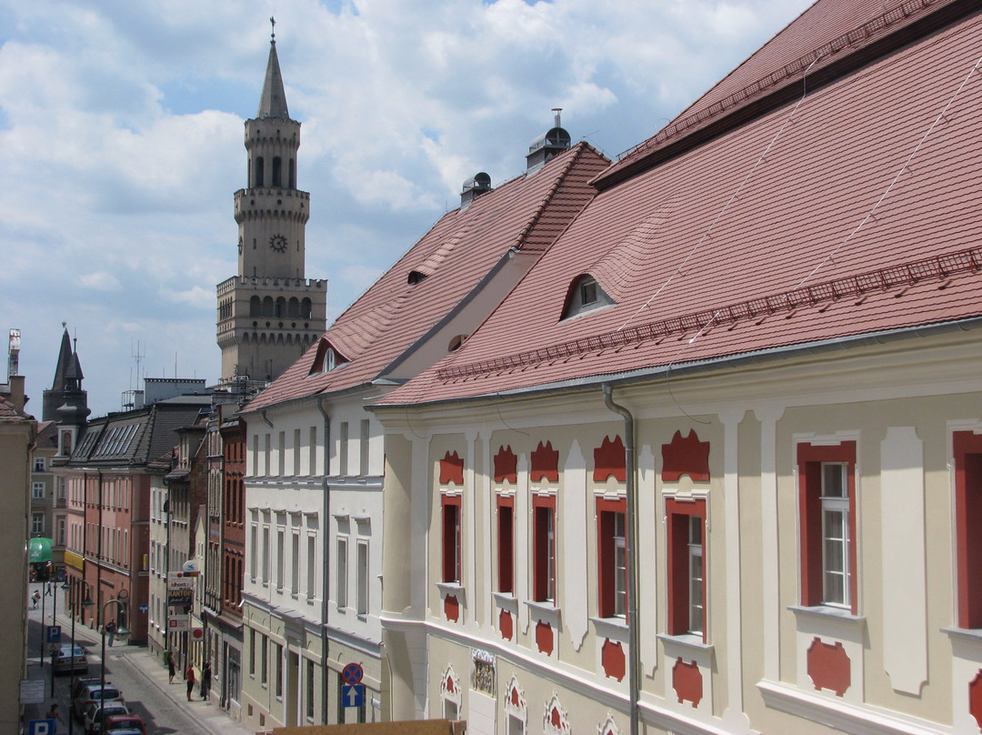 Museum of Opole Silesia景点图片