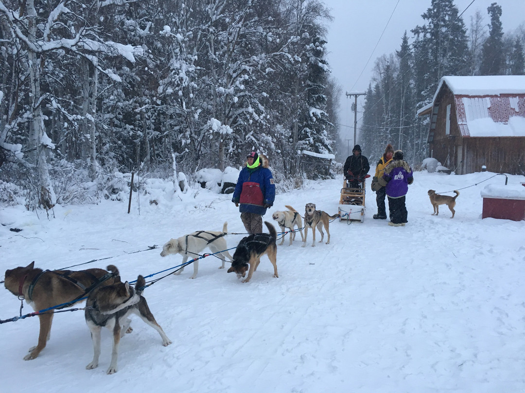 Cotter's Sled Dog Tours景点图片