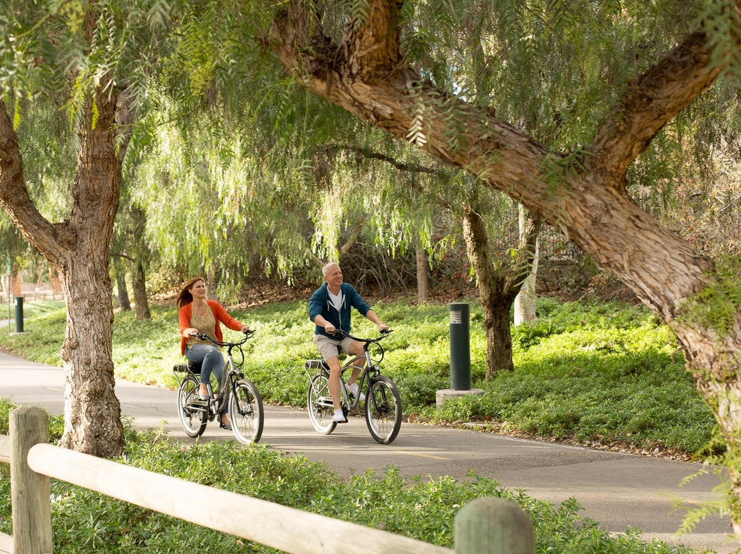 Pedego Electric Bikes-达尼丁必去景点