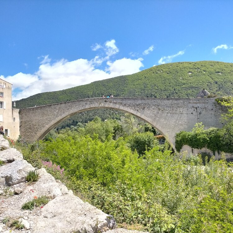 Pont Roman景点图片