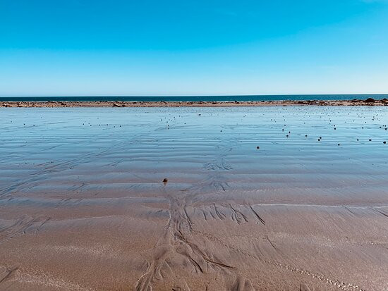 Jungle Beach-Skidegate必去景点