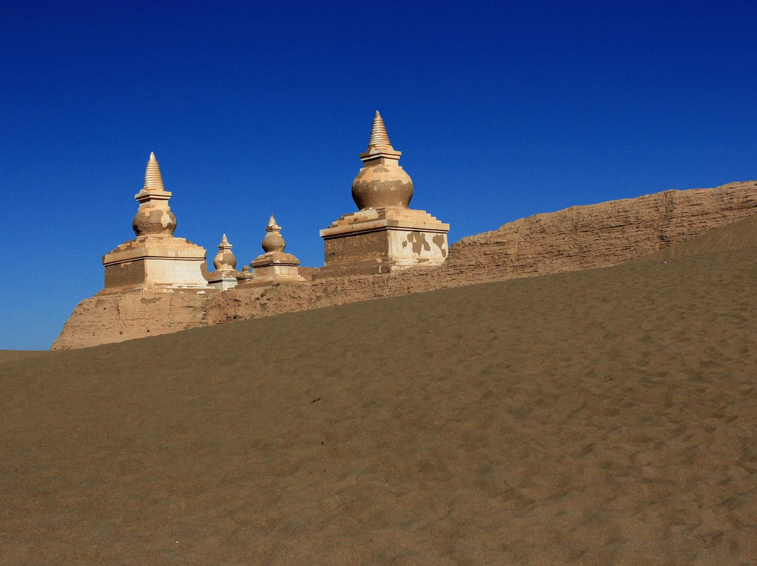 金胡杨国际风情商业街