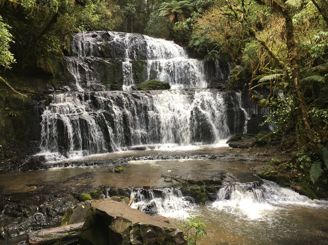 Tahakopa旅游攻略图片