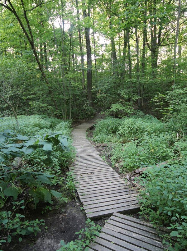 John Nemy Nature Trail-方特希尔必去景点