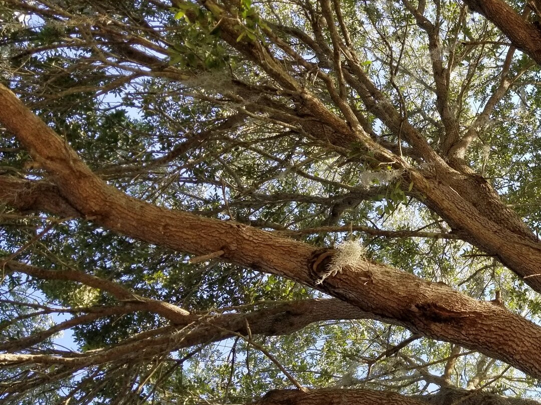 Riverfront Park-Palatka必去景点