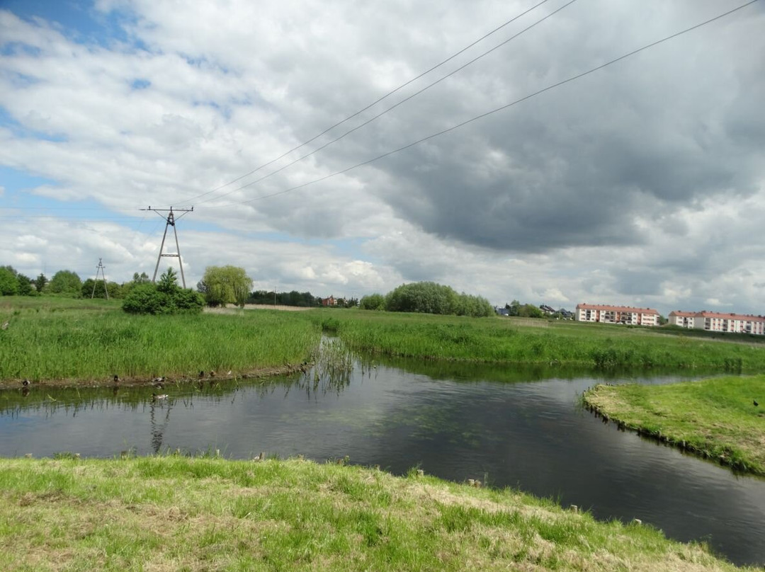 Skrzyżowanie rzek w Wągrowcu景点图片