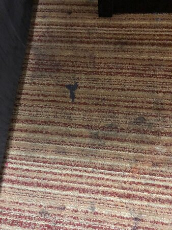 Union Grove酒店住宿-阿拉伯巴港品质酒店