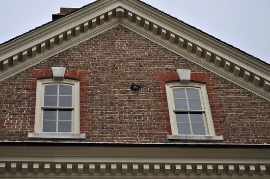 Nelson House-Yorktown必去景点