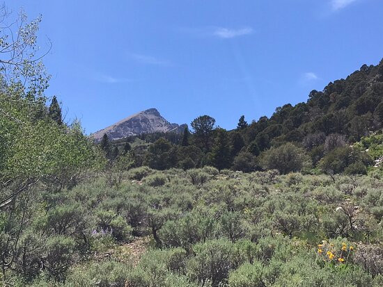 Baker Creek Loop Trail-Baker必去景点