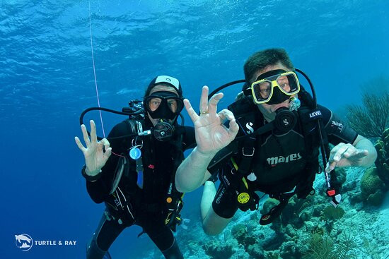 Dive Center Scuba Do景点图片